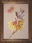 MD82 The Petal Fairy//Ледяная Фея. Схема для вышивки крестом на бумаге Mirabilia Designs - 1