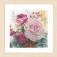 PN-0165376 Рожева троянда. Набір для вишивки хрестиком Lanarte - 1