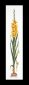 3072 Gladioli Yellow Linen. Набор для вышивки крестом Thea Gouverneur - 1