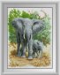 30538 Слонёнок с мамой. Набор для рисования камнями - 1