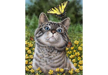  dm-359 Кіт з метеликом. Набір в алмазній техніці  Алмазна Мозаїка