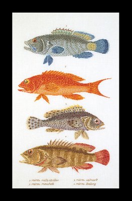 2044 Fish Panel Linen. Набор для вышивки крестом Thea Gouverneur - 1