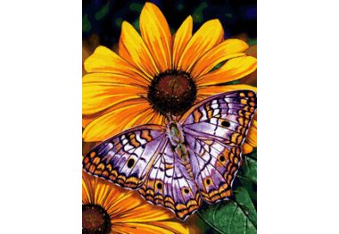 алмазная вышивка dm-177 "Бабочка на цветах" . Набор для изготовления картины стразами
