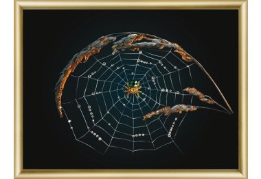 алмазна вишивка КС-002 Павук Набір картина стразами