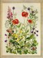 70-2315 Маки. Набір для вишивання хрестом PERMIN - 1