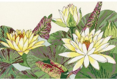  XBD12 Water Lily Blooms "Цветет кувшинка" Bothy Threads. Набор для вышивки крестом