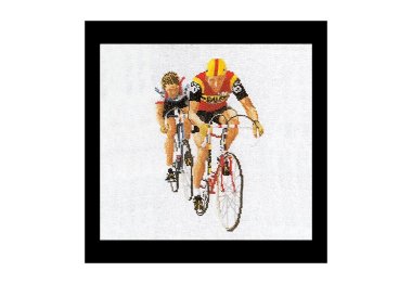  1015A Cycling Aida. Набор для вышивки крестом Thea Gouverneur