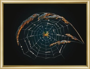 КС-002 Павук Набір картина стразами - 1
