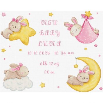 Набір для вишивки хрестиком L9943 Baby Girl record. Letistitch - 1
