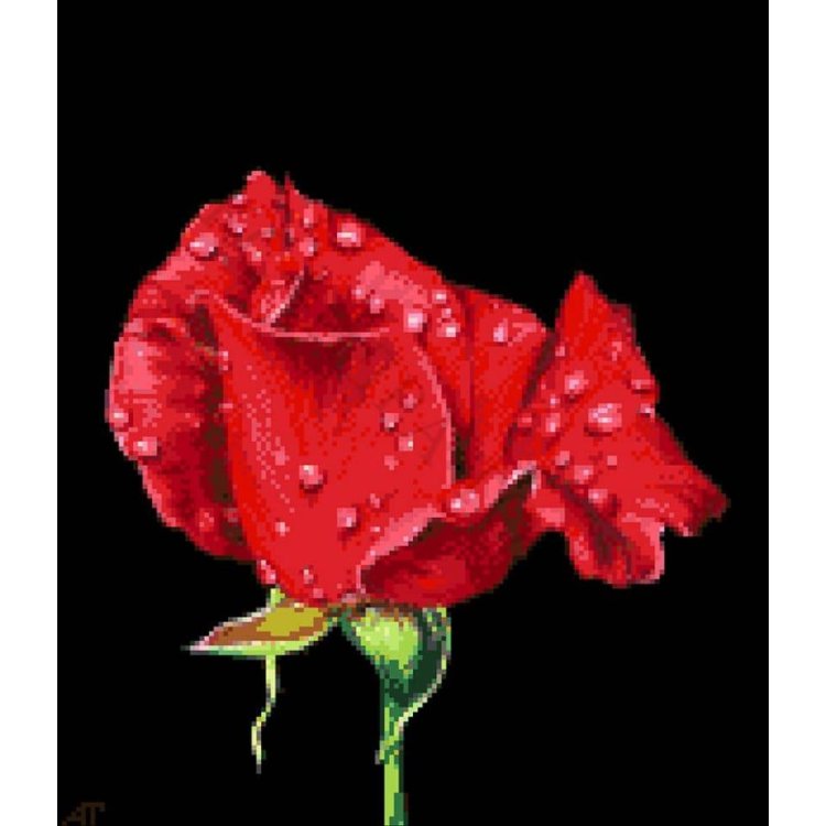 36-0896-НВ В капельках росы. Набор Для вышивки бисером ТМ Токарева А. - 1 36-0896-НВ В капельках росы. Набор Для вышивки бисером ТМ Токарева А. - 1