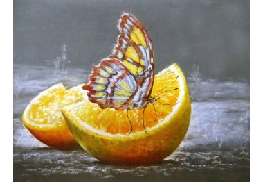 алмазна вишивка dm-180 "Метелик на апельсині" . Набір для виготовлення картини стразами