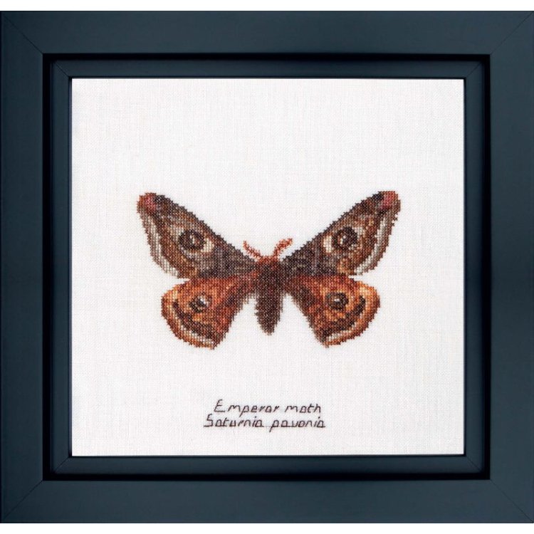 562 Emperor moth Linen. Набор для вышивки крестом Thea Gouverneur - 1