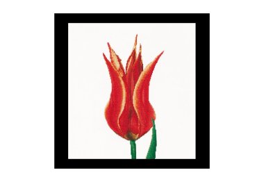  515A Red/Yellow Lily flowering tulip Aida. Набор для вышивки крестом Thea Gouverneur