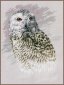 PN-0183826 Snowy Owl. Набор для вышивки крестом Lanarte - 1