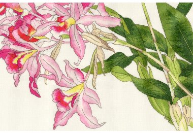  XBD16 Набор для вышивания крестом Orchid blooms "Цветеющая орхидея" Bothy Threads