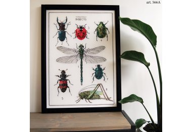  566 The History of Insects Linen. Набор для вышивки крестом Thea Gouverneur