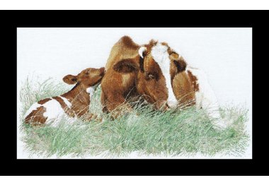  449 Рыжая корова, Red Cow (Теа Гувернер). Набор для вышивки крестом