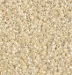 DB-1560 Бисер Miyuki Delica Beads 11/0 (жемчужный экрю искрящийся) - 1 DB-1560 Бисер Miyuki Delica Beads 11/0 (жемчужный экрю искрящийся) - 1