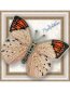BGP-018 3D Бабочка Гебомоя Главк. Набор для вышивки бисером ТМ Вдохновение - 1