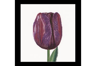  514 Purple Triumph tulip Linen. Набор для вышивки крестом Thea Gouverneur