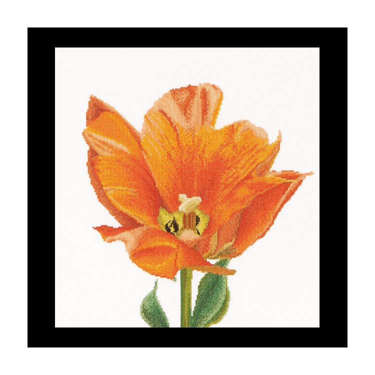 523 Orange Triumph tulip Linen. Набор для вышивки крестом Thea Gouverneur - 1