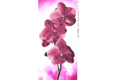  ТК-003 Орхидеи. Схема для вышивки бисером (атлас) ТМ Барвиста Вишиванка