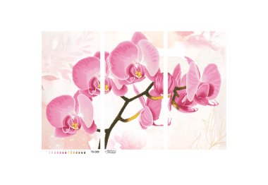  ТК099 Ніжна рожева орхідея. Схема для вишивки бісером (габардин) ТМ Барвиста Вишиванка