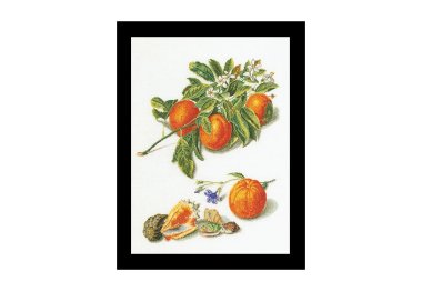  3061A Oranges & Mandarins Aida. Набір для вишивки хрестом Thea Gouverneur