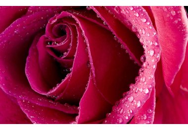 алмазная вышивка dm-248 Бутон розы. Набор для изготовления картины стразами