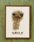 92-2198 Усміхнений страус (Smiley Ostrich. Набір для вишивання хрестом PERMIN - 1
