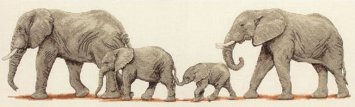 Слони на прогулянці. Набір для вишивки хрестиком арт. PCE732 - 1