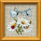 0757 Ромашки з метеликами. Набір для вишивки хрестиком Ріоліс - 1