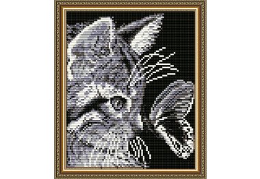 алмазна вишивка AT5512 Кіт з метеликом. Набір алмазної техніки