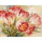 8355 Акварельные тюльпаны. Набор для вышивки крестом Classic Design - 1 8355 Акварельные тюльпаны. Набор для вышивки крестом Classic Design - 1