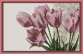 400/57 Розовые тюльпаны. Набор для вышивки крестом Фантазия - 1