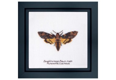  563A Death's-head Hawk moth Aida. Набір для вишивки хрестом Thea Gouverneur
