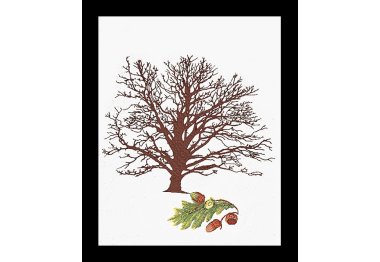  831 Oak Tree Linen. Набір для вишивки хрестом Thea Gouverneur