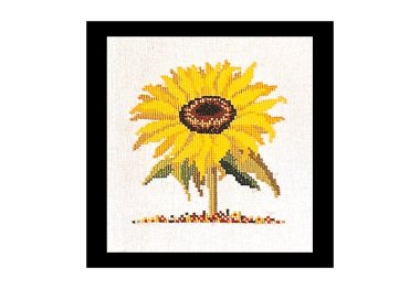  901A Sunflower Aida. Набір для вишивки хрестом Thea Gouverneur