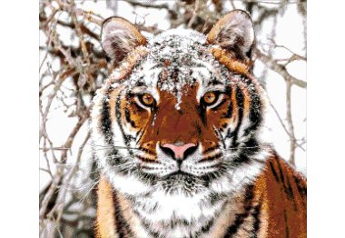  41-2695-НС Сибірський тигр. Набір для вишивання бісером ТМ Токарєва А.