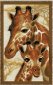 1697 Жирафы. Набор для вышивки крестом Риолис - 1