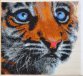 36-784-НТ Тигреня. Набір для вишивання бісером ТМ Токарєва А. - 1 36-784-НТ Тигреня. Набір для вишивання бісером ТМ Токарєва А. - 1