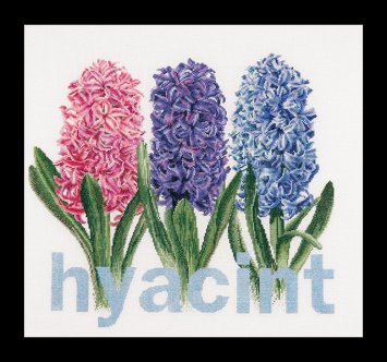 434 Hyacinth Linen. Набор для вышивки крестом Thea Gouverneur - 1